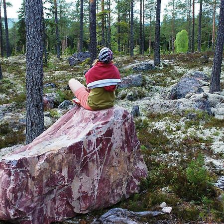 16 - Fulufjellets Nasjonalparker - Natur-, Dyre- Og Fugleopplevelser Ljørdal Exterior foto