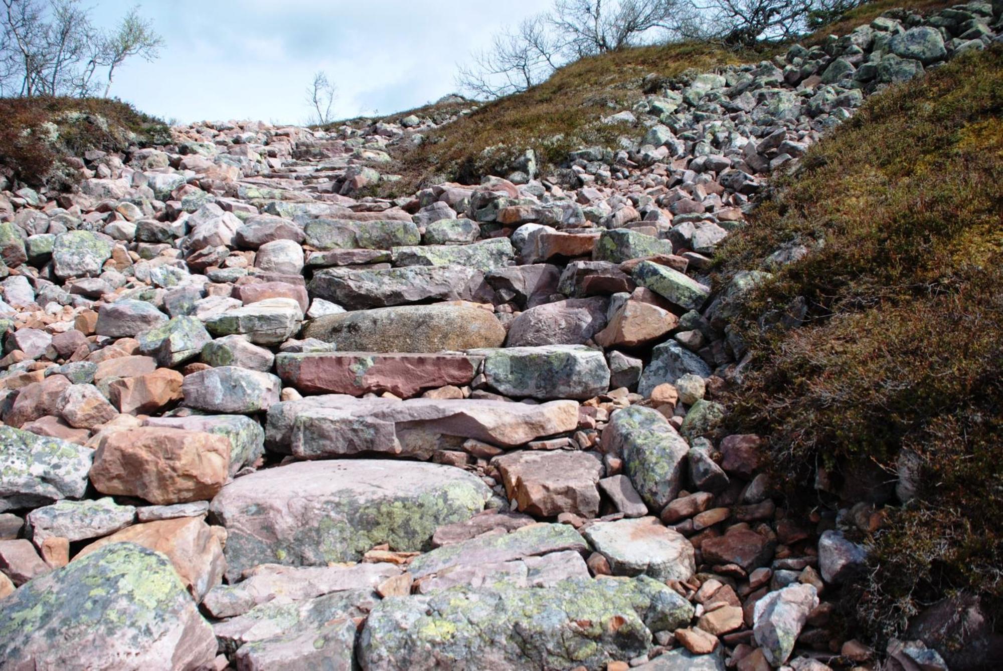 16 - Fulufjellets Nasjonalparker - Natur-, Dyre- Og Fugleopplevelser Ljørdal Exterior foto