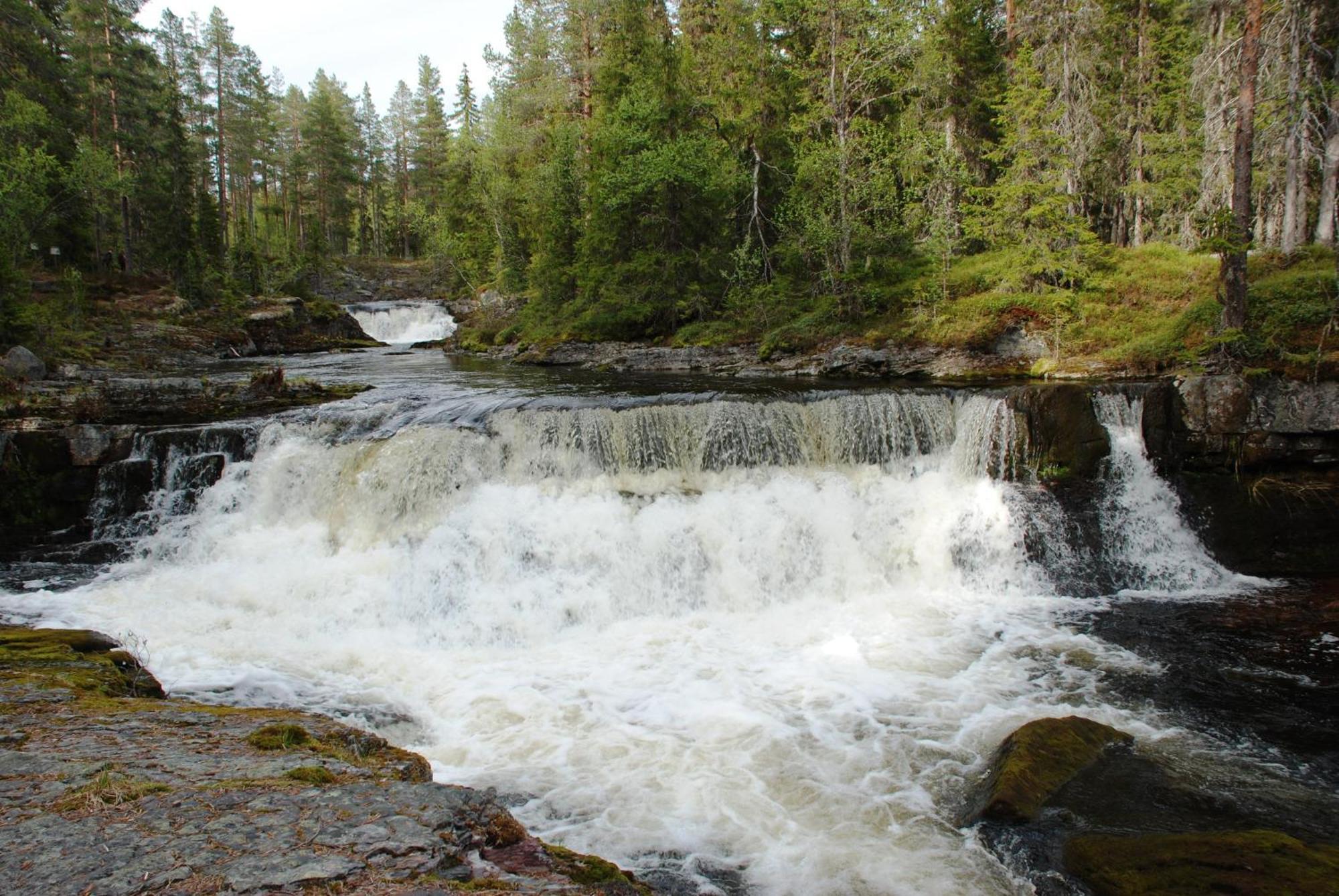 16 - Fulufjellets Nasjonalparker - Natur-, Dyre- Og Fugleopplevelser Ljørdal Exterior foto